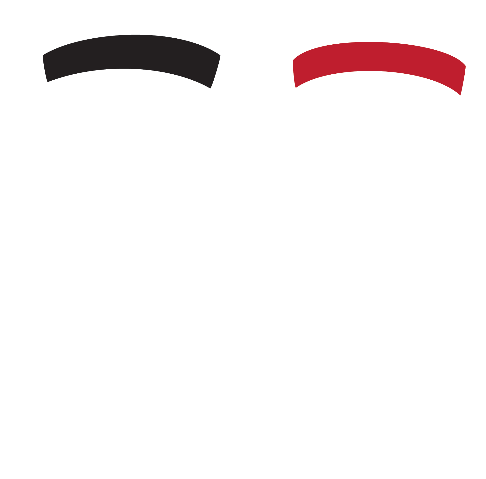 PTPiPN logo